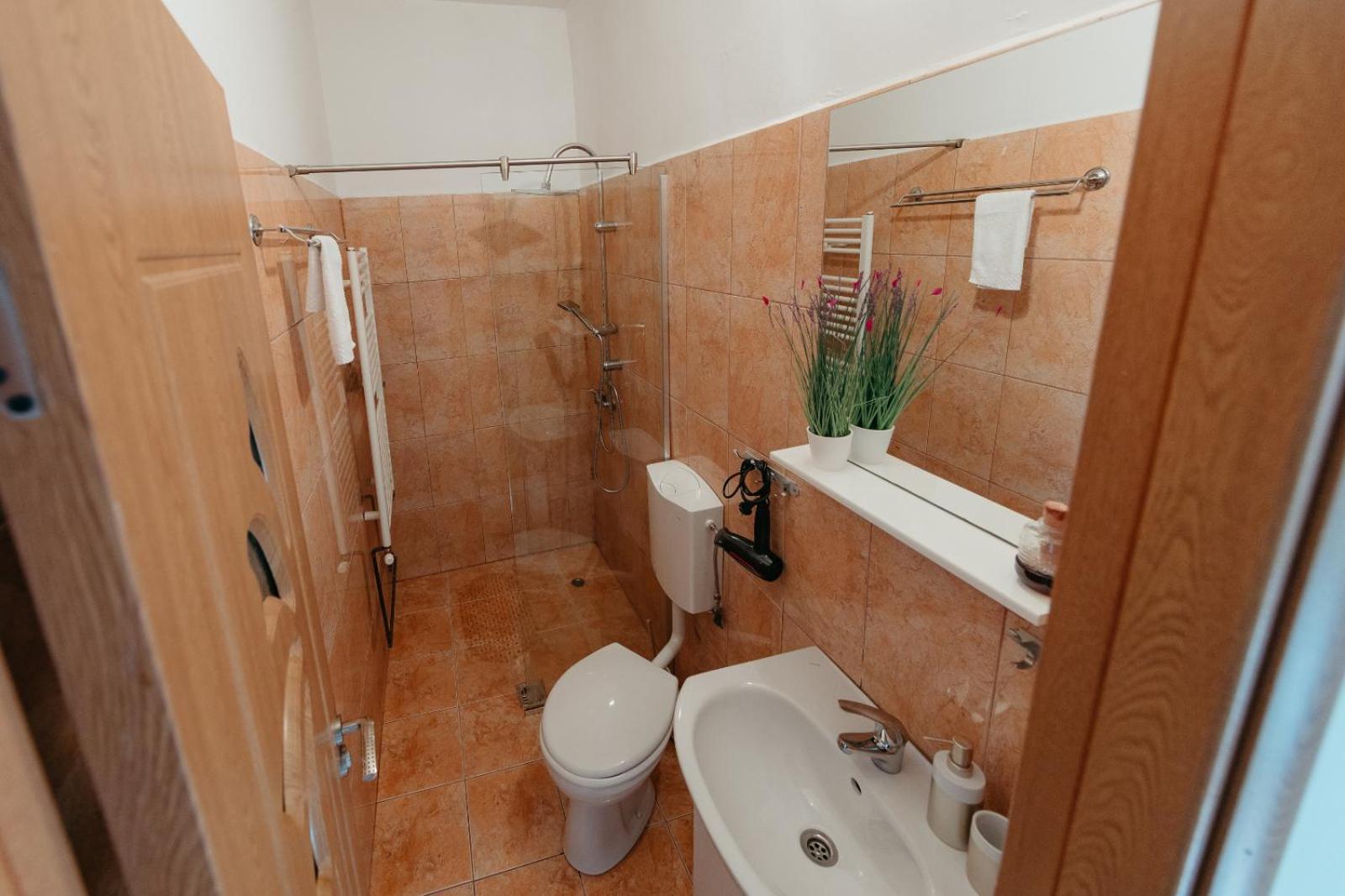 Flh - Apartament Mai Cu Aroma De Cafea Si Ceai Sibiu Eksteriør bilde