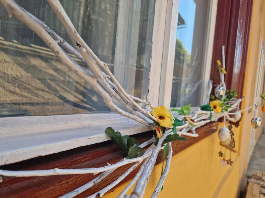 Flh - Apartament Mai Cu Aroma De Cafea Si Ceai Sibiu Eksteriør bilde